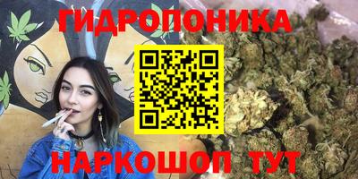 mix Ставрополь