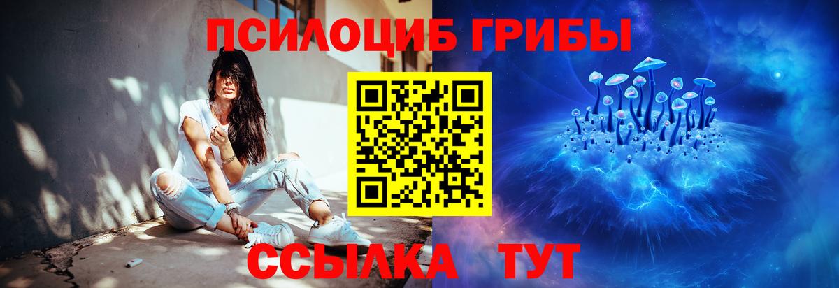 Псилоцибиновые грибы Cubensis  Вход с VPN  Новозыбков  Псилоцибиновые грибы ЛСД 