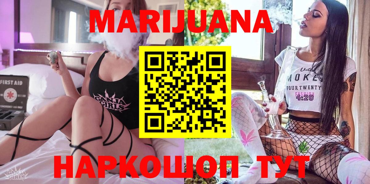 Бошки Шишки планчик Новозыбков
